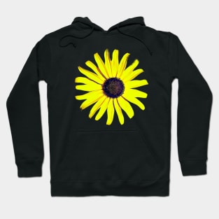 Black Eyed Susan Flowers Maryland Artistic Pattern Hoodie